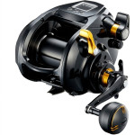 Multiplikatory elektryczne